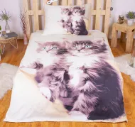 3D obliečky BedStyle 140x200 + 70x90 - Mačiatka