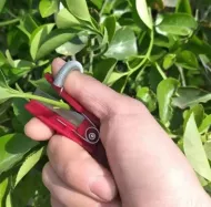 Záhradnícke mini nožnice na prst Garden Orchard
