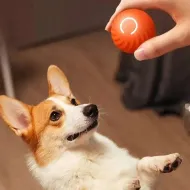 Interaktívna loptička PG-CT042 pre psy a mačky - oranžová