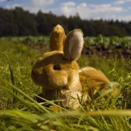 Plyšový ležiaci zajac - hnedý - 23 cm - Rappa