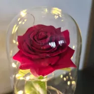 Svietiaca večná ruža v luxusnom balení