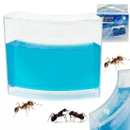 Akvárium pre mravcov