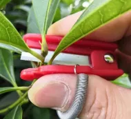 Záhradnícke mini nožnice na prst Garden Orchard