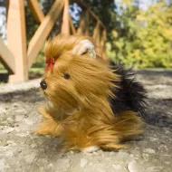 Plyšový pes jorkšír sediaci, 27 cm, ECO-FRIENDLY